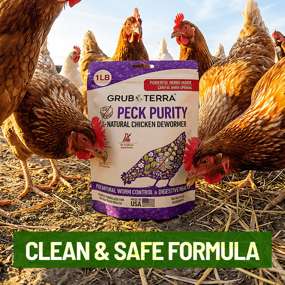 Peck Purity bag surrounded by chickens outdoors