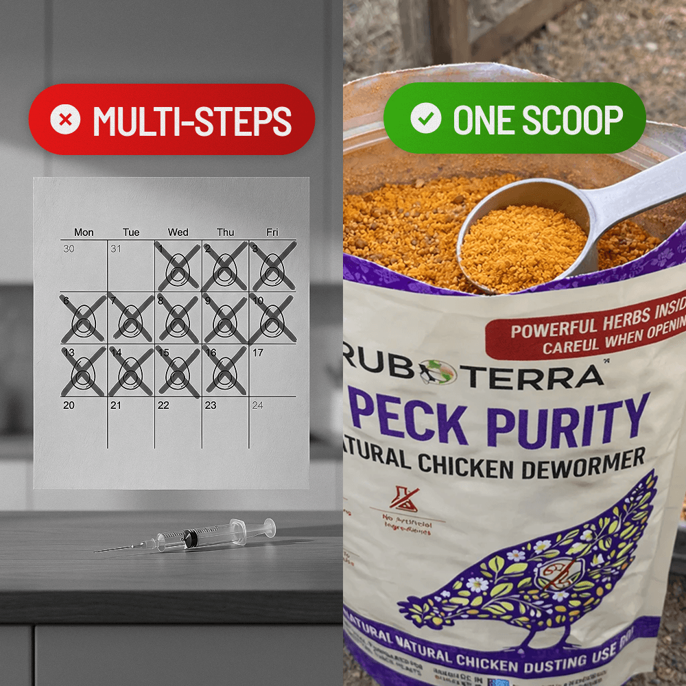 Calendar with eggs crossed out and a syringe — egg withdrawal days